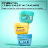 Sorbet garnier